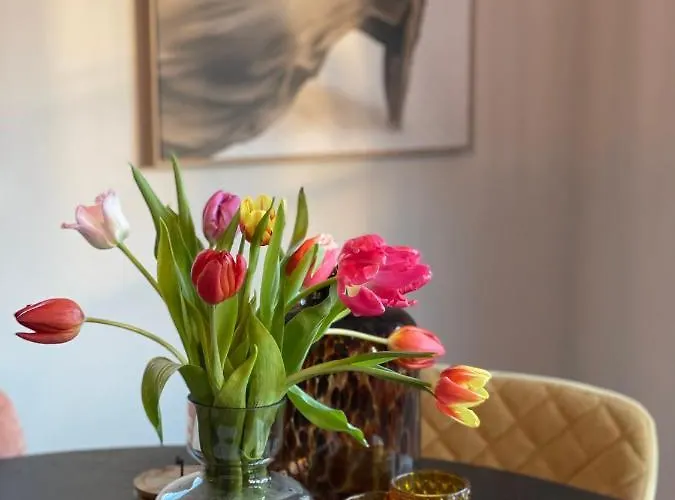 Heerlijk Achterhoek Semesterbostad *